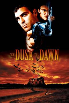 Film (dvd), 2006