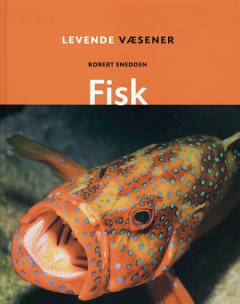 Fisk