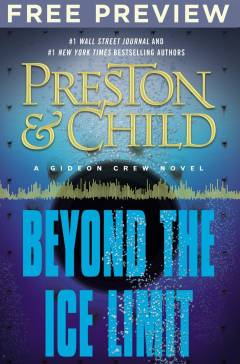 Beyond the ice limit