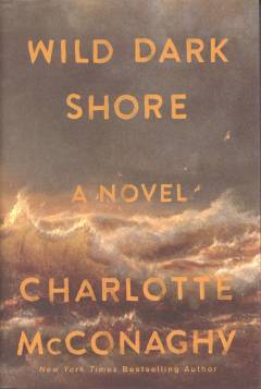 Wild dark shore