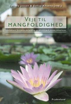 Veje til mangfoldighed : interkulturel fortåelse, behandling og udredning af etniske minoriteter