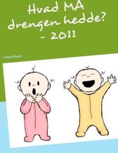 Hvad må drengen hedde? - 2011