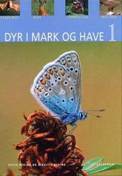 Dyr i mark og have. Bind 1 : Flagermus, hare, sommerfugl, musvåge