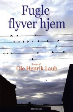 Fugle flyver hjem