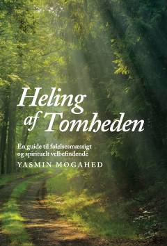 Heling af tomheden : en guide til følelsesmæssigt og spirituelt velbefindende