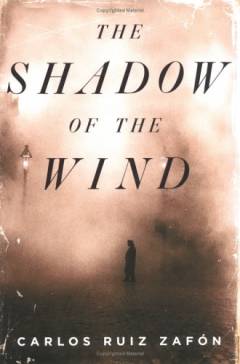 The shadow of the wind