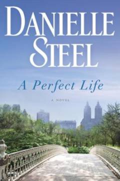 A perfect life : a novel