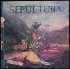Sepulquarta