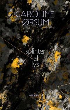 Splinter af lys