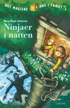 Ninjaer i natten