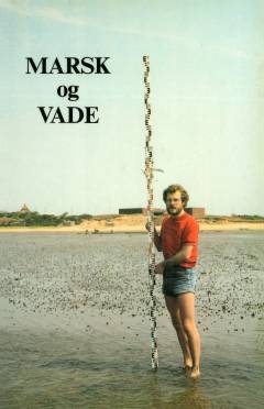 Marsk og vade
