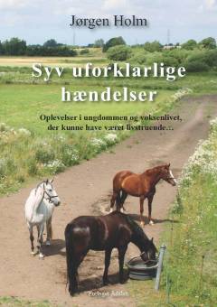 Syv uforklarlige hændelser : oplevelser i ungdommen og voksenlivet, der kunne have været livstruende