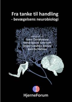 Fra tanke til handling - bevægelsens neurobiologi