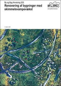 Renovering af bygninger med skimmelsvampevækst