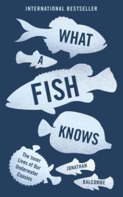 What a fish knows : the inner lives of our underwater cousins