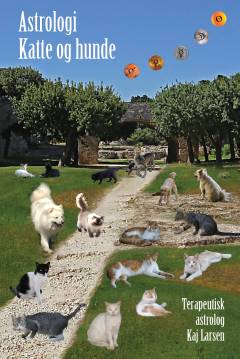 Astrologi - katte og hunde