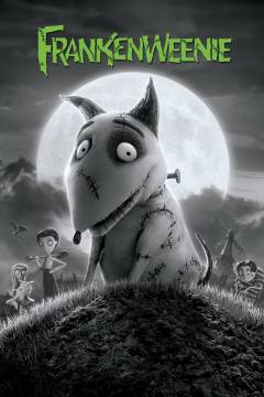 Film (dvd), 2013