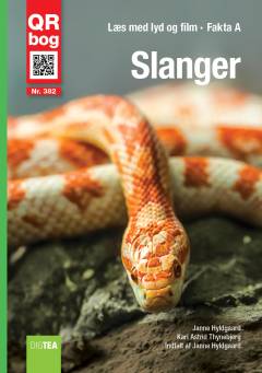 Slanger