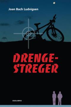 Drengestreger : ungdomsroman