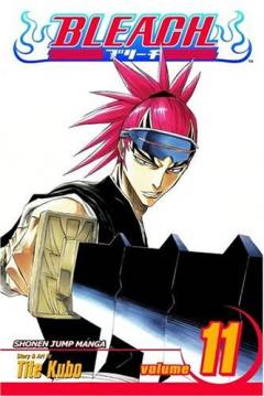 Bleach. Vol. 11 : A star and a stray dog