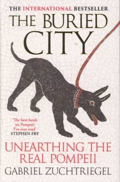 The buried city : unearthing the real Pompeii