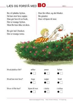 Læs og forstå med Bo