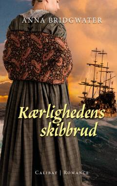 Kærlighedens skibbrud : romance