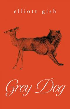 Grey dog