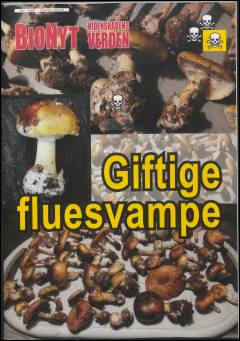 Giftige fluesvampe