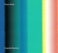 Anguilla electrica