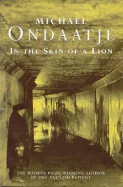 In the skin of a lion