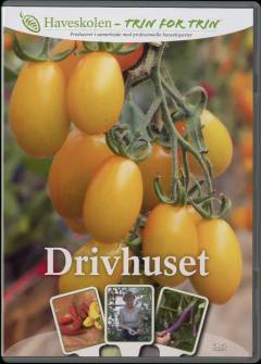 Drivhuset