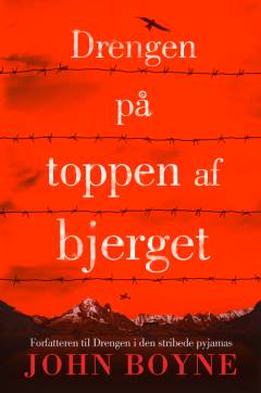 Drengen på toppen af bjerget