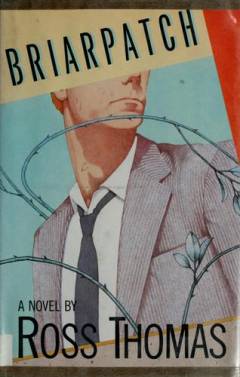 Briarpatch