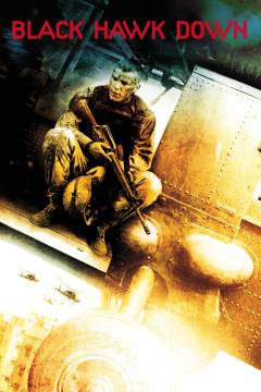 Black Hawk down