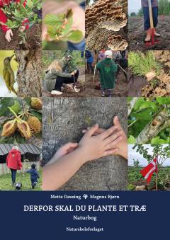 Derfor skal du plante et træ : naturbog