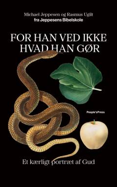 For han ved ikke hvad han gør : et kærligt portræt af Gud