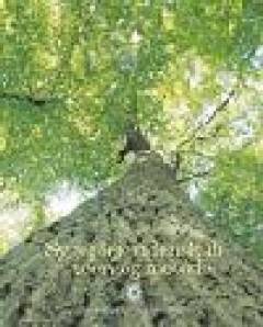 Sygeplejevidenskab - teori og metode