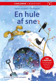 En hule af sne