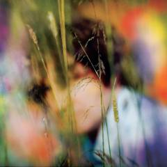 Musik (cd), ℗2020