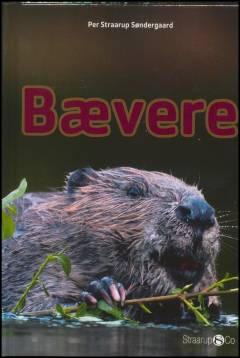 Bævere