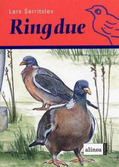 Ringdue