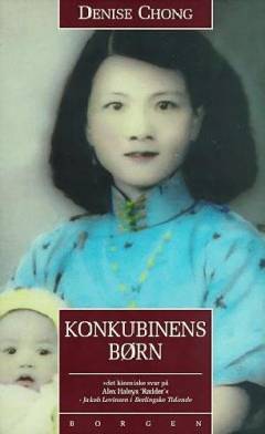 Konkubinens børn