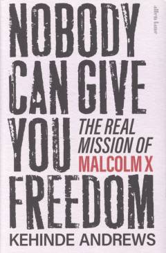 Nobody can give you freedom : the real mission of Malcolm X