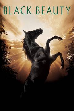 Den sorte hingst