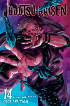 Jujutsu Kaisen. Volume 14