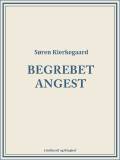 Begrebet Angest. En simpel psychologisk-paapegende Overveielse i Retning af det dogmatiske