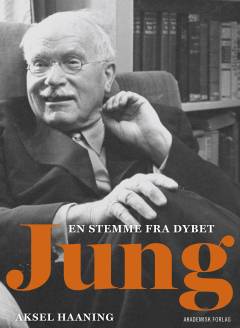 Jung : en stemme fra dybet