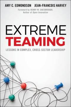 Extreme teaming : lessons in complex, cross-sector leadership