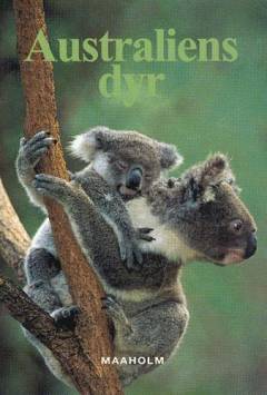 Bog, 1. udgave, 2001